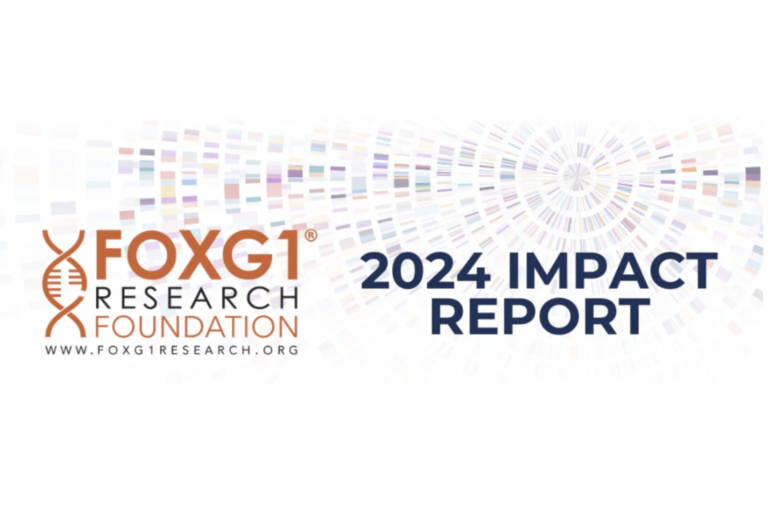 2024 Impact Report &amp; 2025 Goals: FOXG1 Research Foundation 