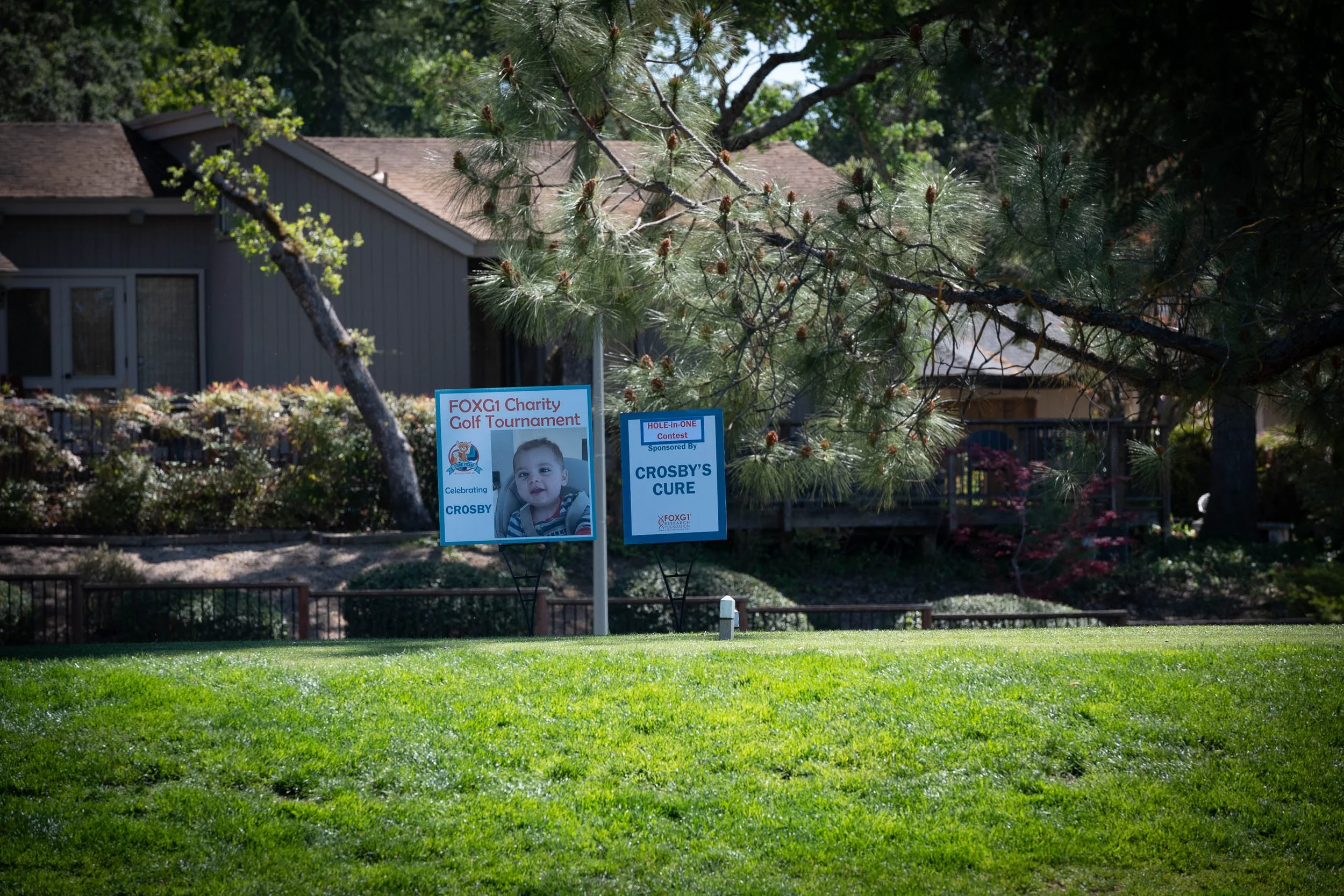 Signs in a grassy area, one with a child's face and text about a charity golf tournament, and another about Crosby's cure, with trees and a house in the background.