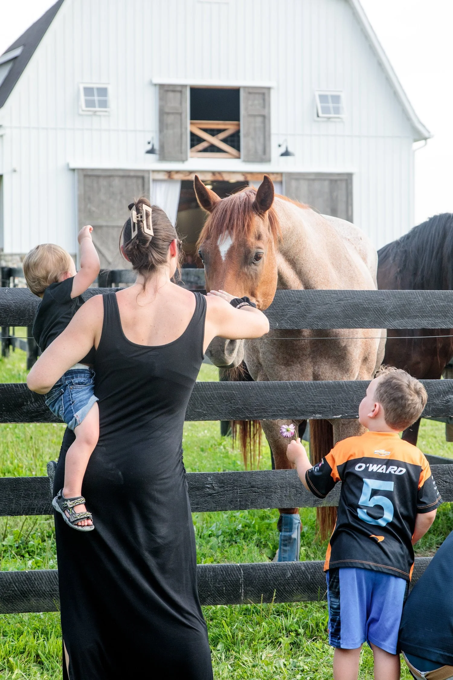 animal visit [farm].jpg