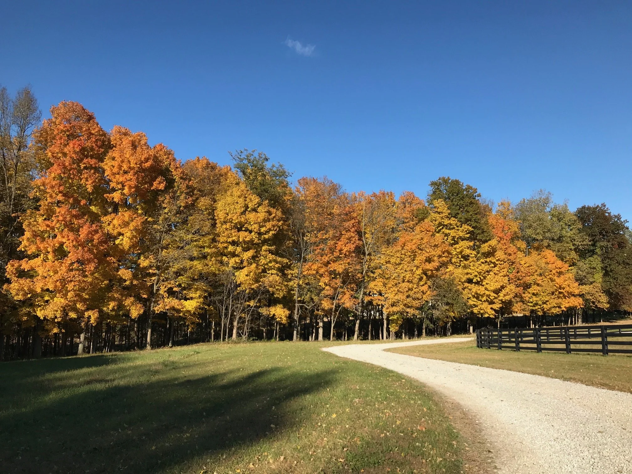 _fall drive [farm].JPG