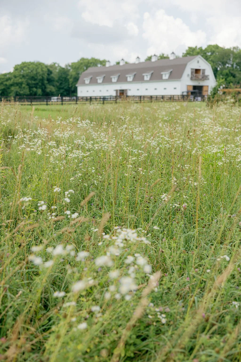 _field barn.jpg