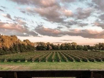 _big view upick rows [farm].jpeg