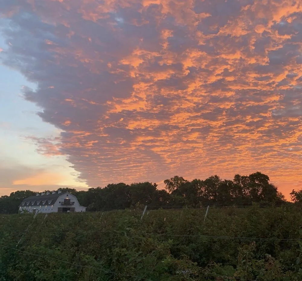 sky [farm].jpg