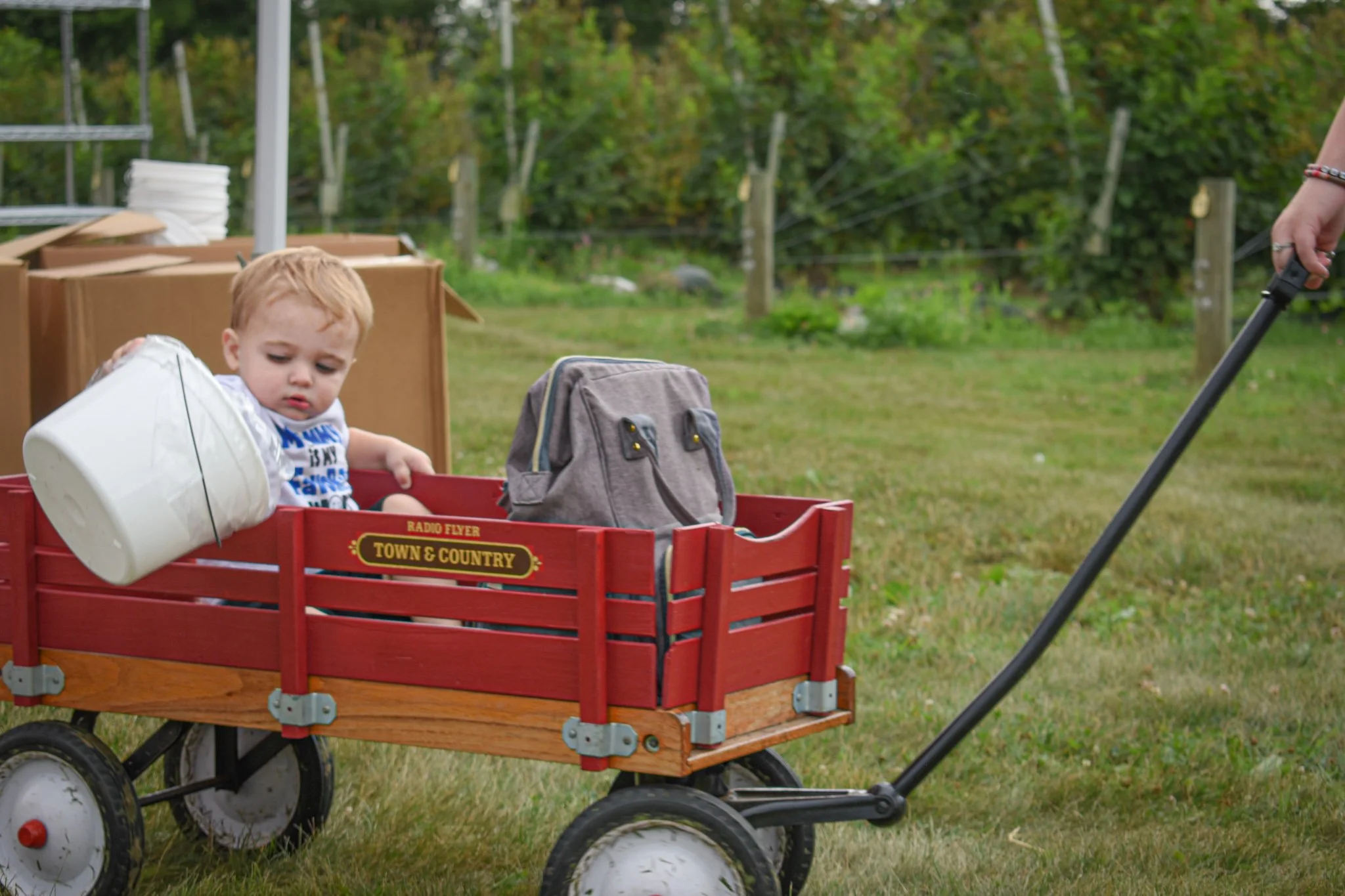 _berrywagonfestival [farm].jpg