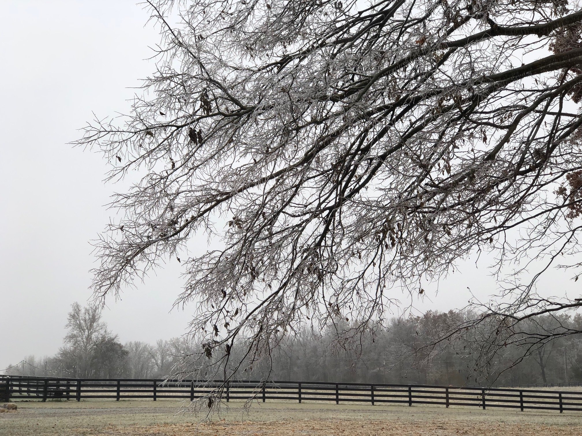 farm in winter [farm].JPG