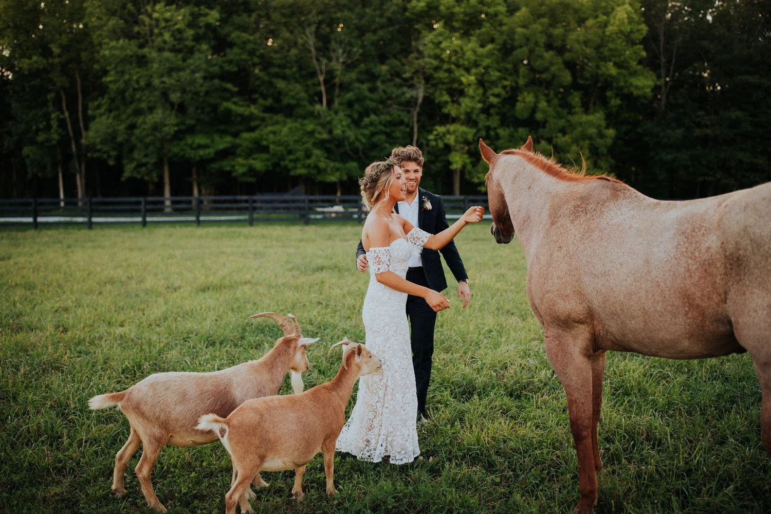 bride, horse, goats.jpeg