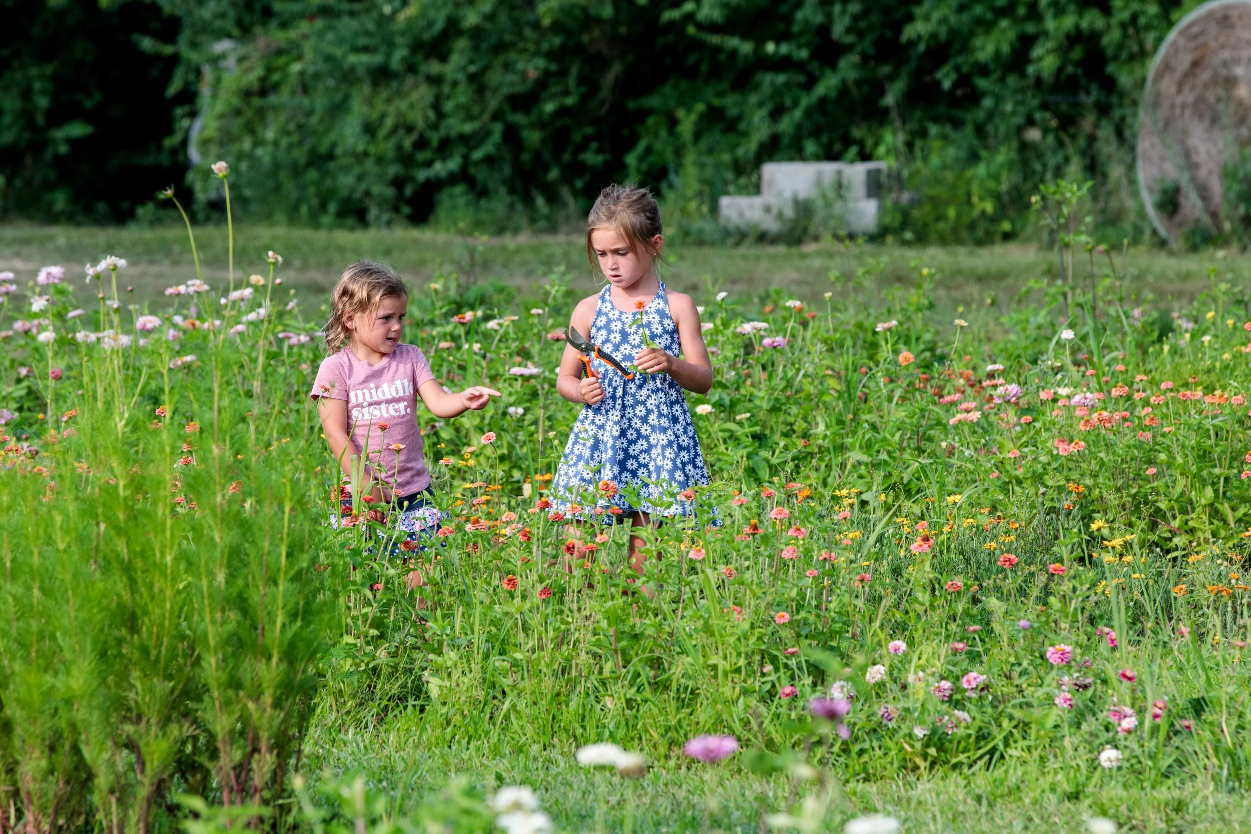 _flower upick [farm].jpg