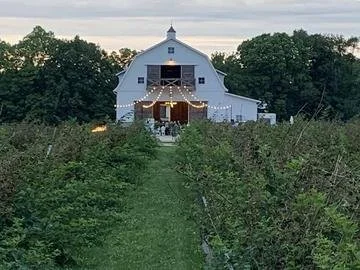 barn lights field [farm].jpg