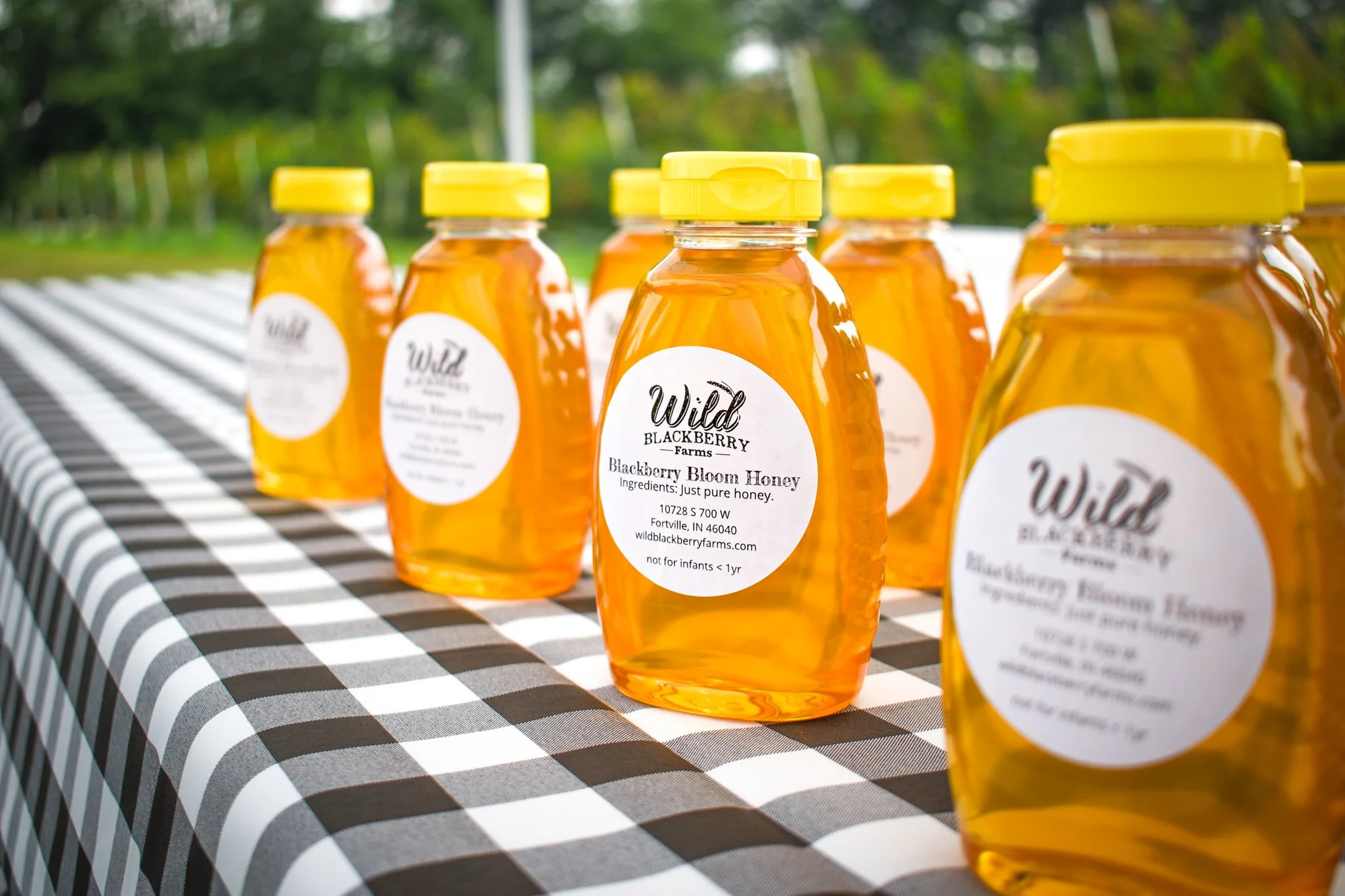 honeyfestival [farm].jpg