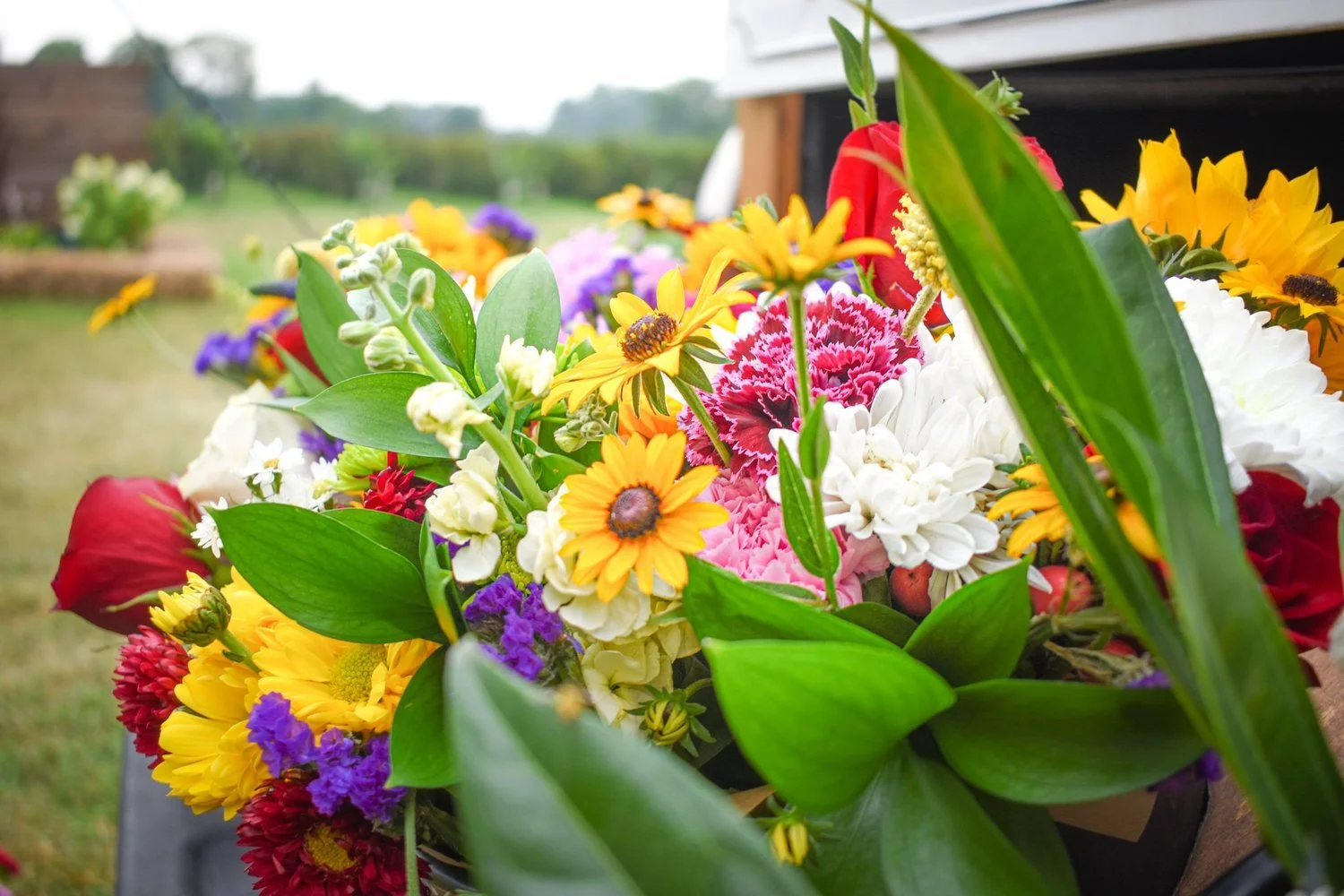 _flowers [farm].jpg
