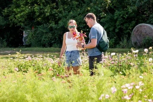 flower upick [farm].jpg