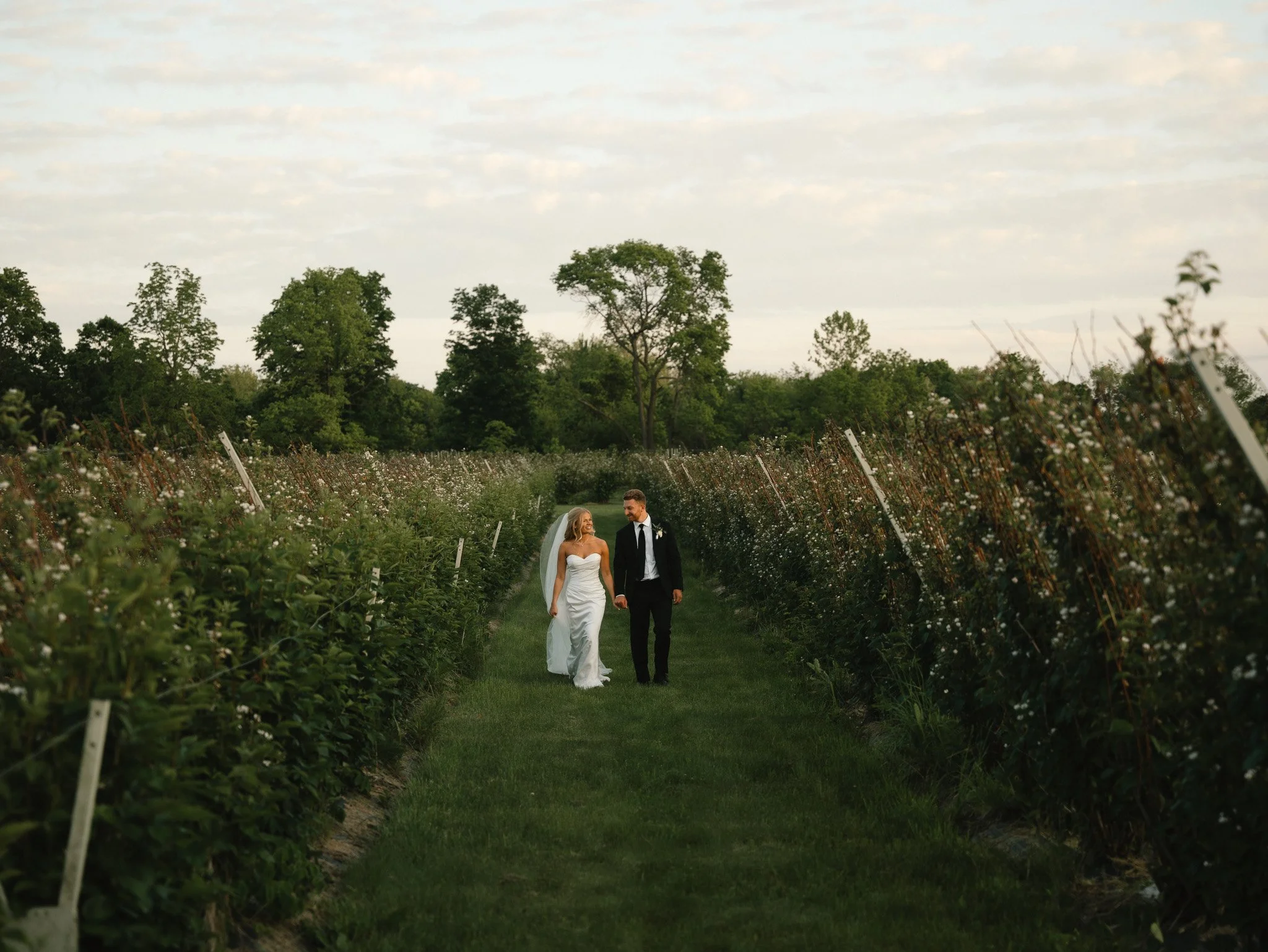 _bride and groom cane walk.jpeg
