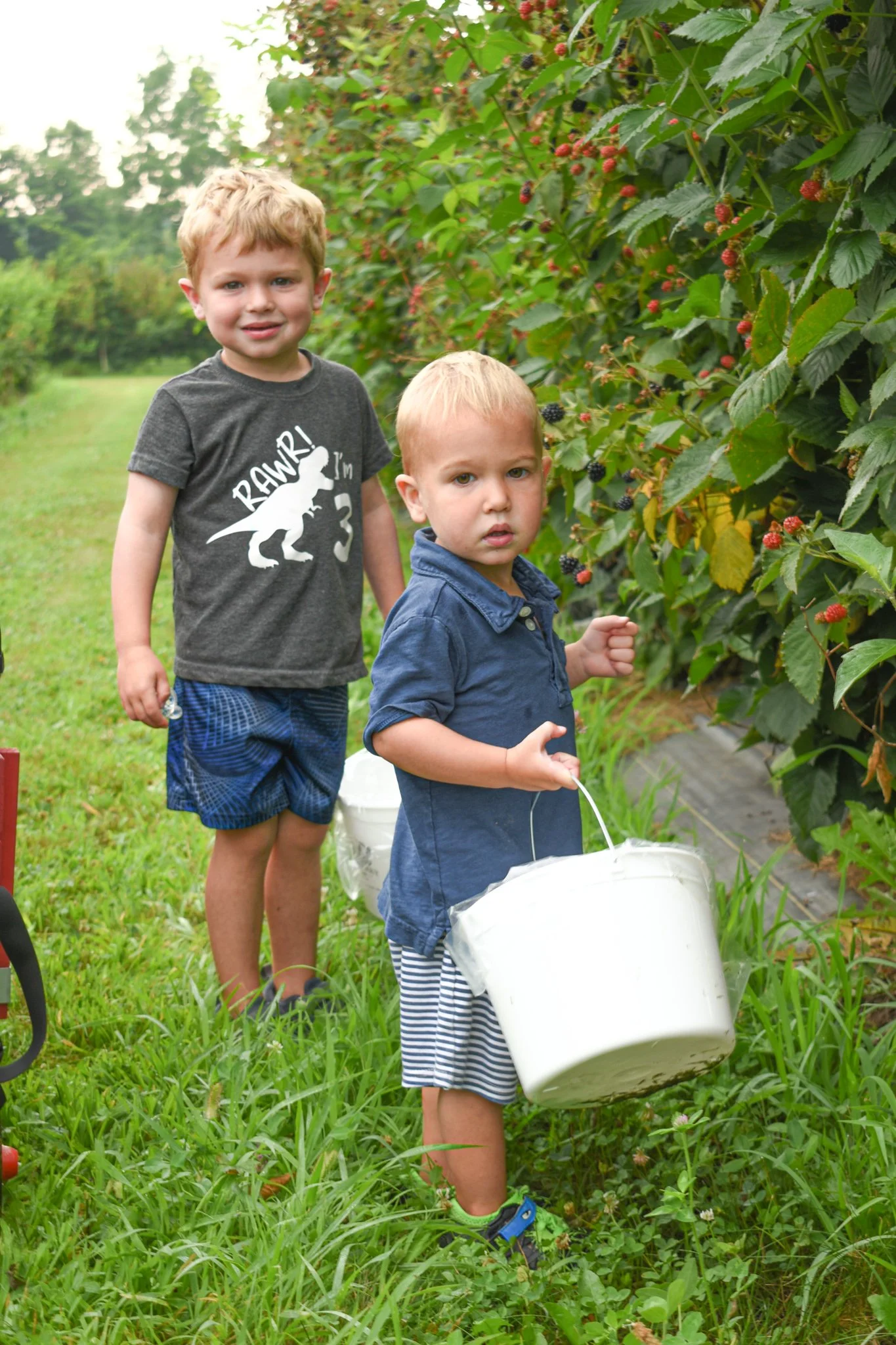 upickkids [farm].jpg
