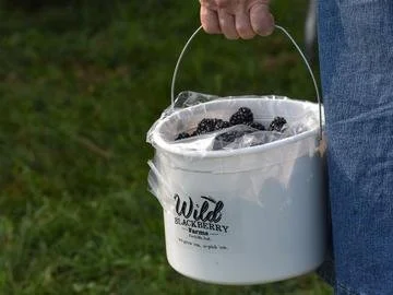 upick bucket [farm].jpeg