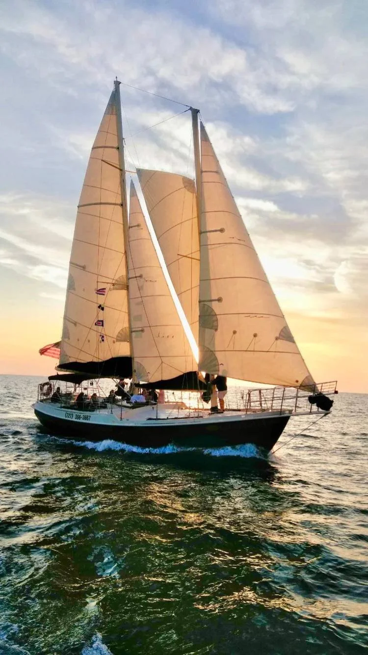 Untitled design (1).jpg