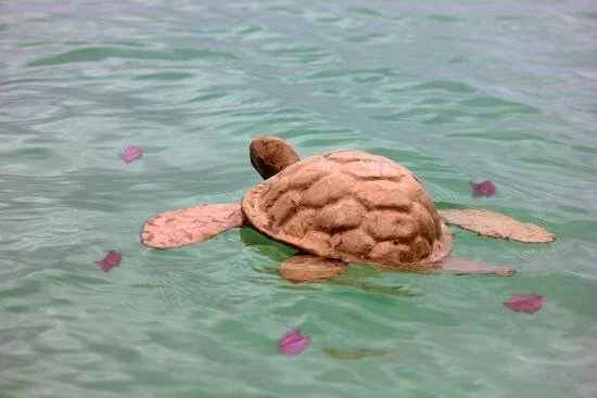 A large biodegradable turtle urn floating in the water with pink flower petals scattered around.