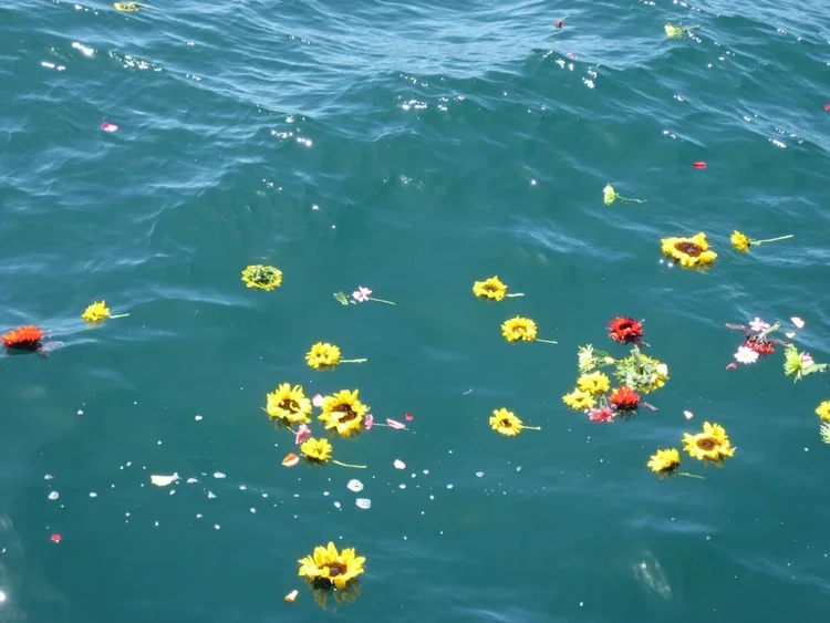 Floating flowers, including yellow and red blooms, on a body of water during a burial at sea.