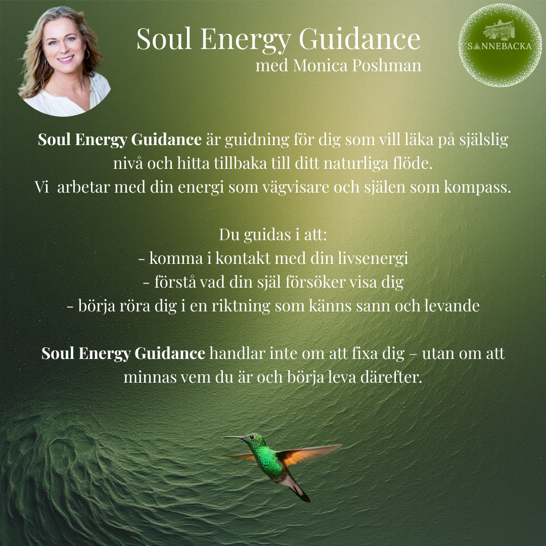 Information om Soul Energy Guidance med Monica Poshman, logo för Sannebacka, en bild av en kvinna och en Hummingbird.