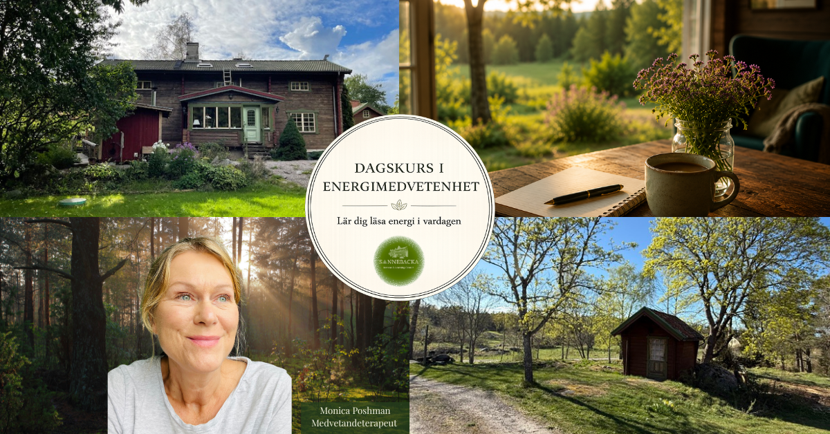 Bild för introduktionskurs i energimedvetenhet på Sannebacka.