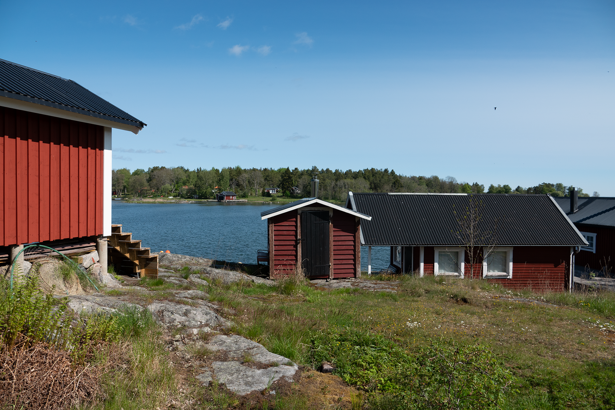 Röda sommarstugor vid vattnet med gröna träd och blå himmel i bakgrunden.