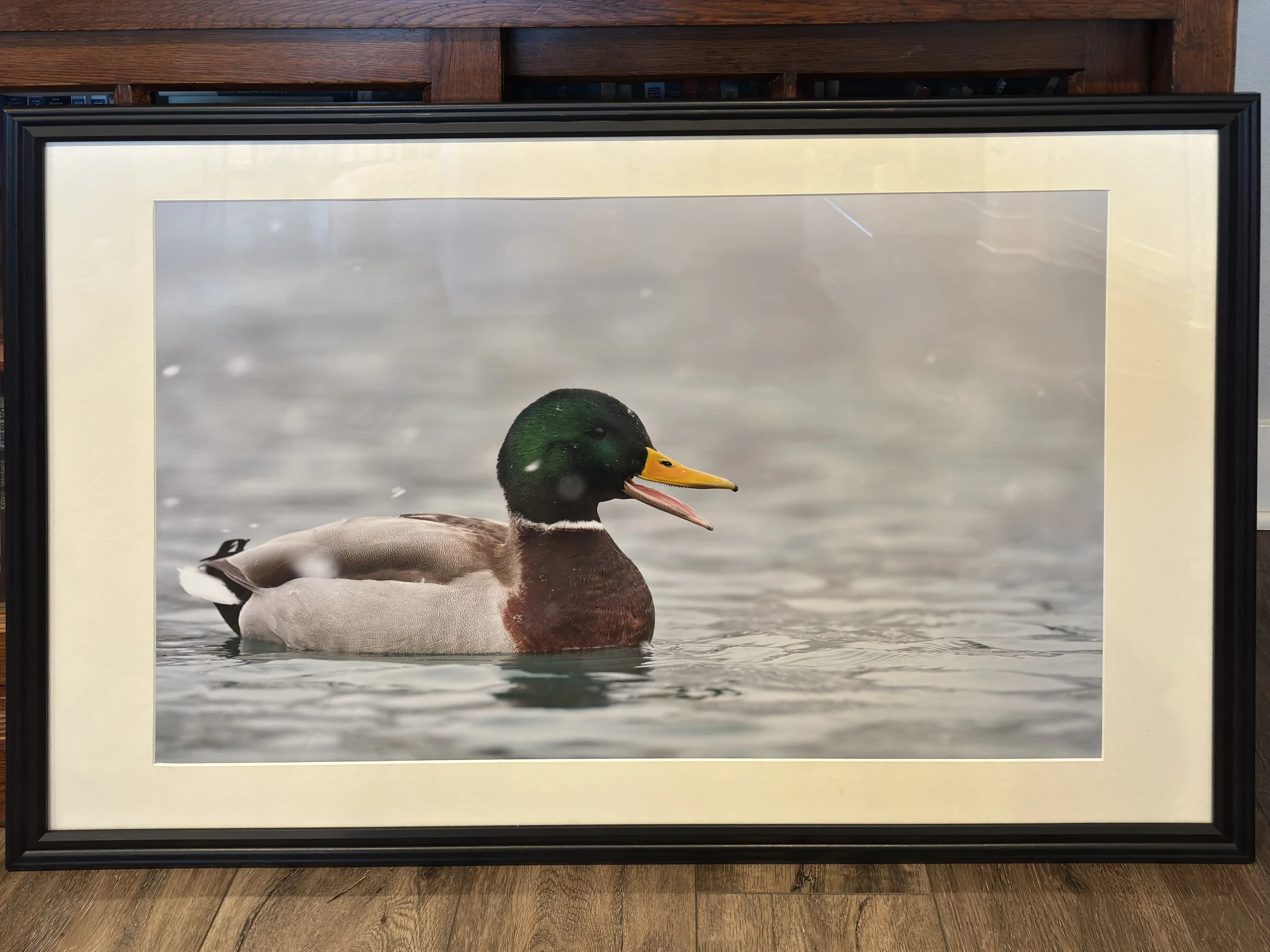 The Collectors Guide To Framing 