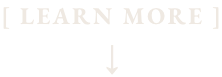 Text that reads '[ LEARN MORE ]' with an arrow pointing downward.