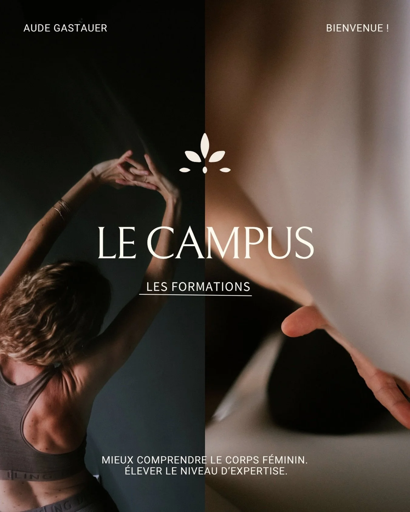Je vous en parle depuis des mois.
Il est l&agrave;.

Le tout nouveau site du Campus est en ligne !

audegastauer.com

Tu y trouveras deux espaces.

&bull; Pour les professionnels
Les deux derni&egrave;res formations en pr&eacute;sentiel que je propos