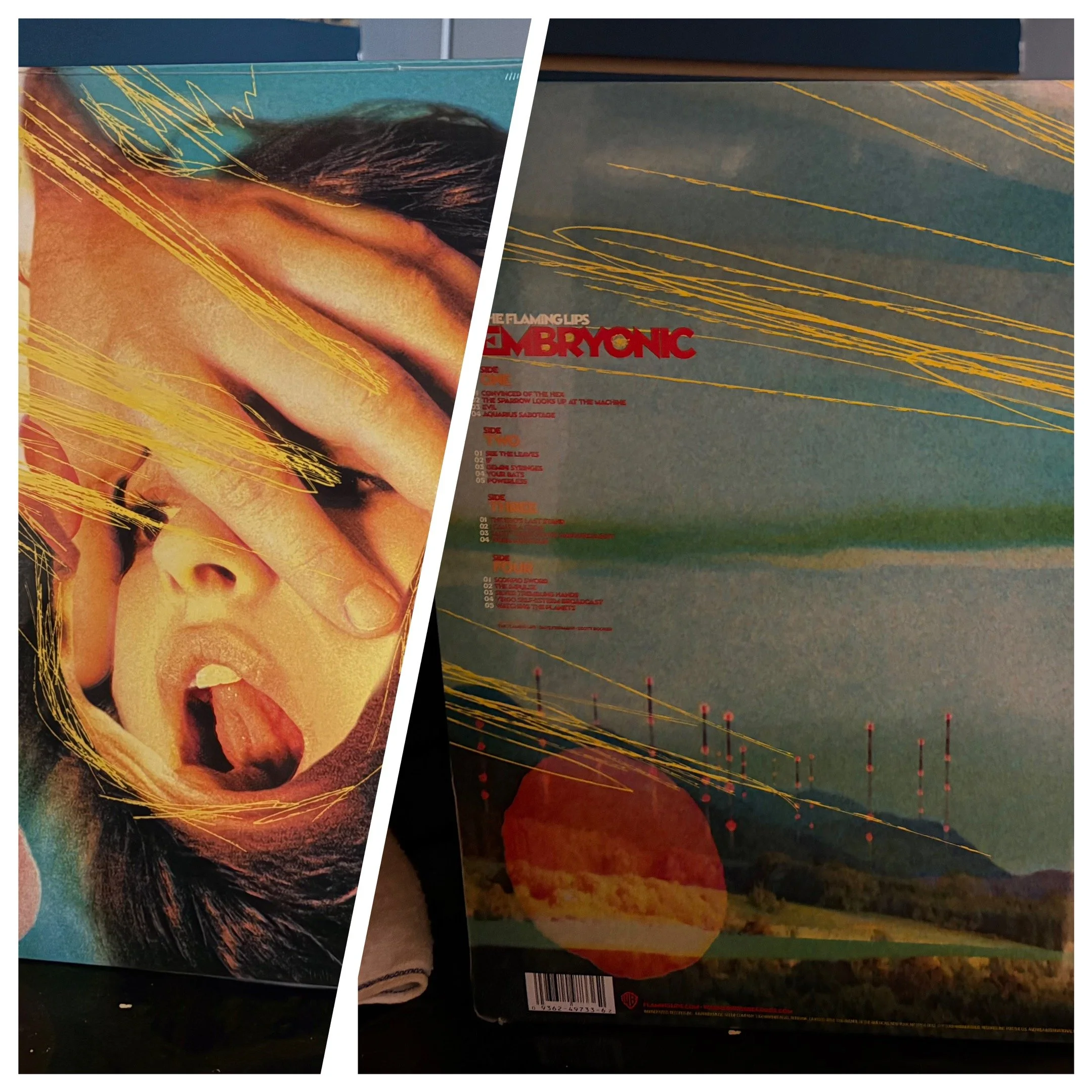 flaminglips.JPG