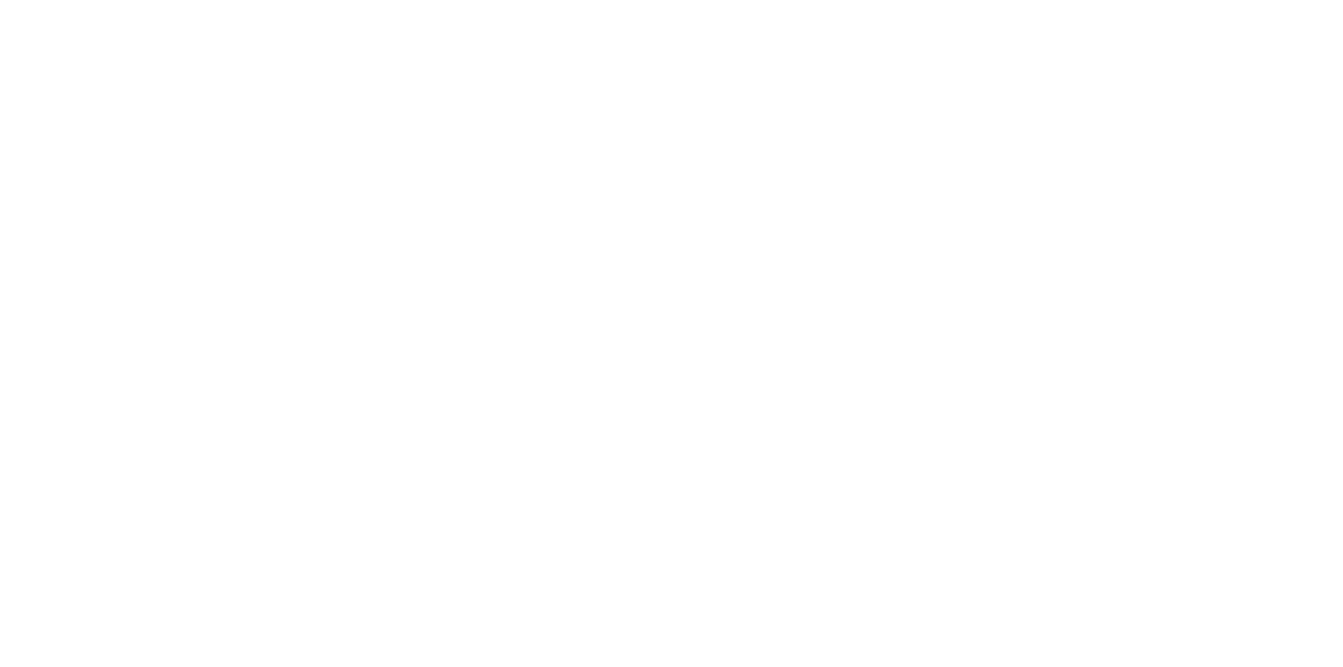 logo-farve-med-navnetrak-center_Neg.png