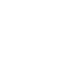 VGI logo-neg.png