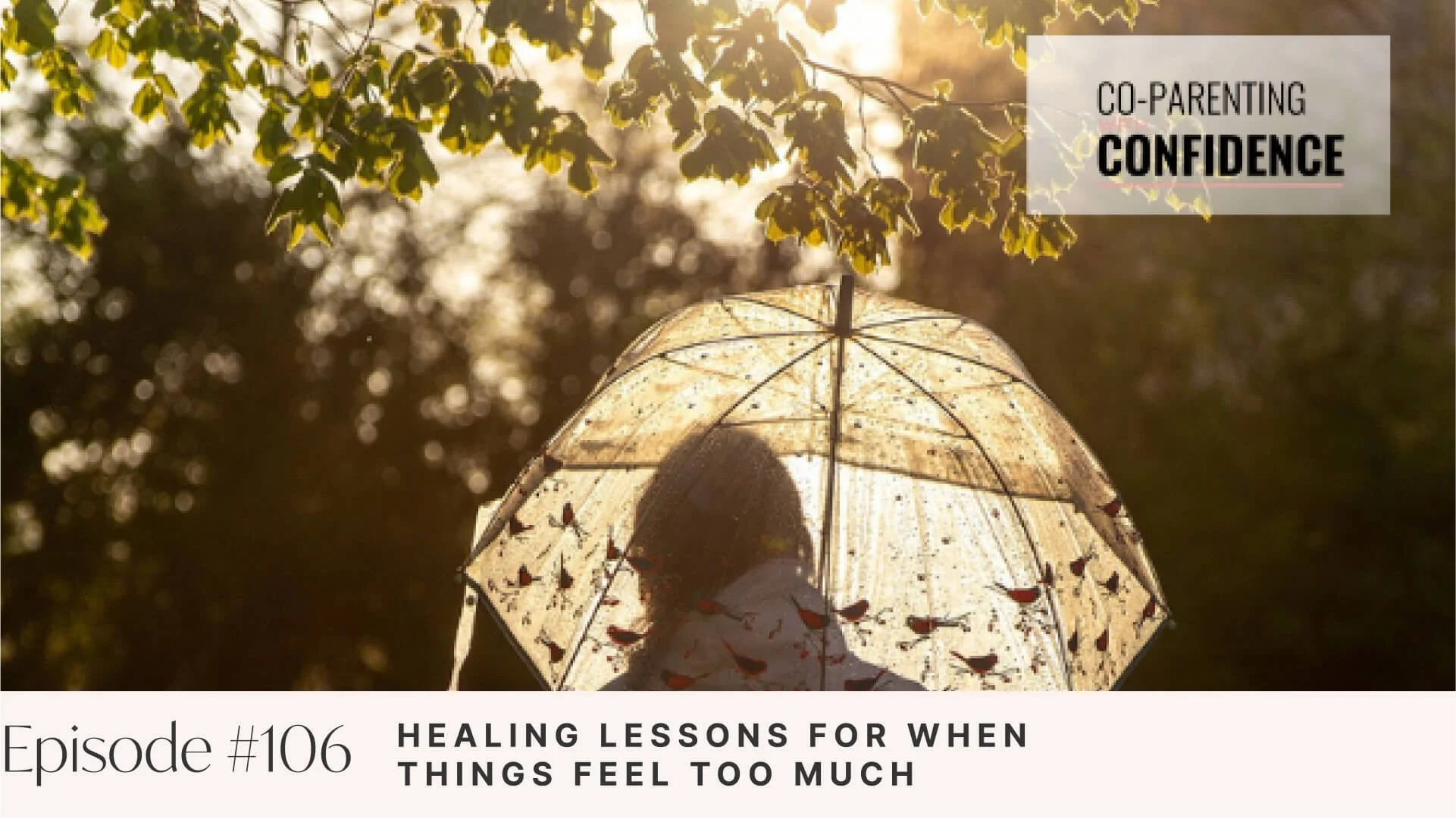 Ep #106: Healing Lessons for When Things Feel Too Much