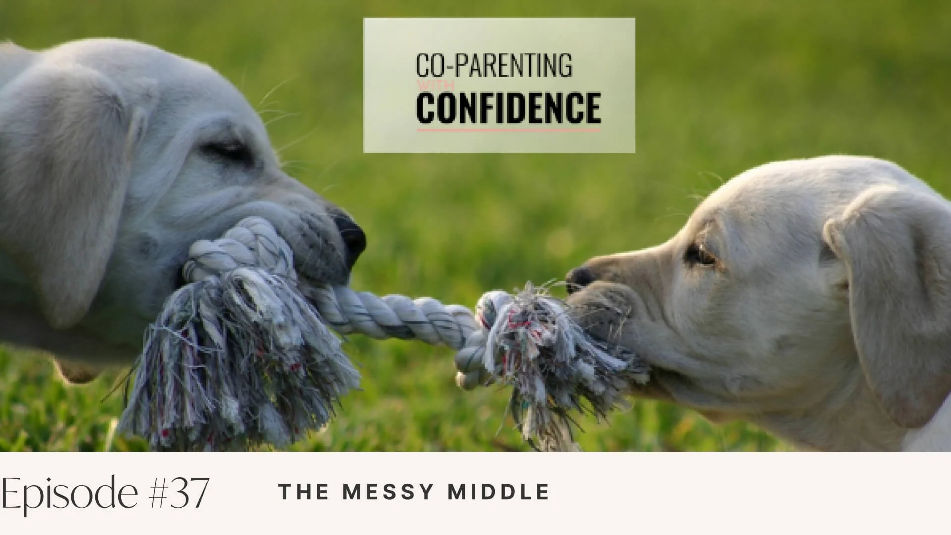 Ep #37: The Messy Middle