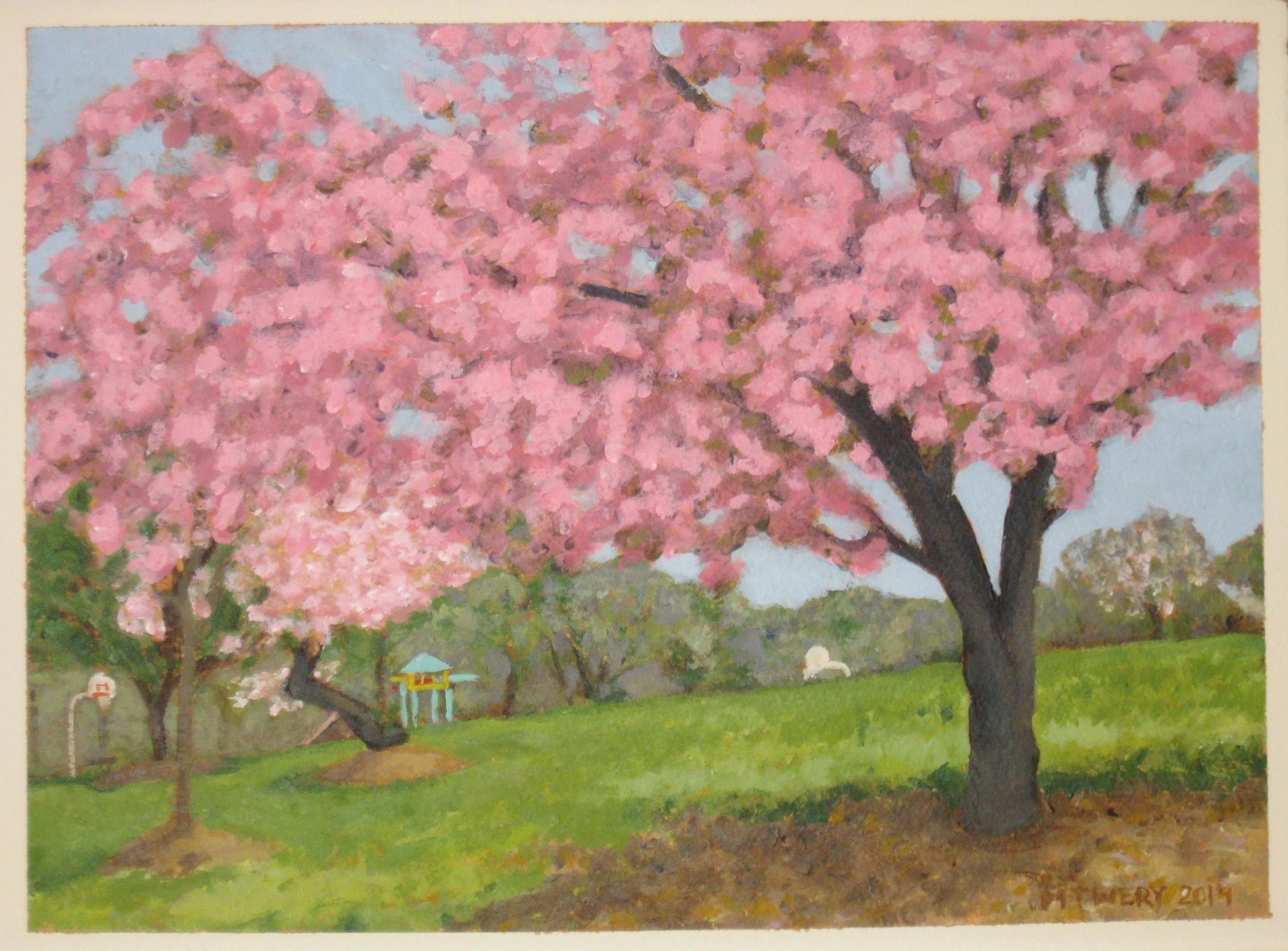 Riverside Park Cherry Blossoms - acrylic on paper, 11" x 15"