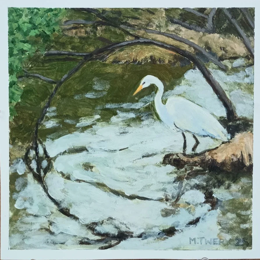 Creek Hunting Egret - Acrylic on PVC Panel, 12" x 12"