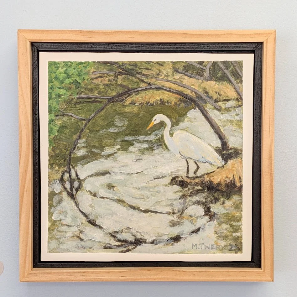mt creek fishing egret.jpg