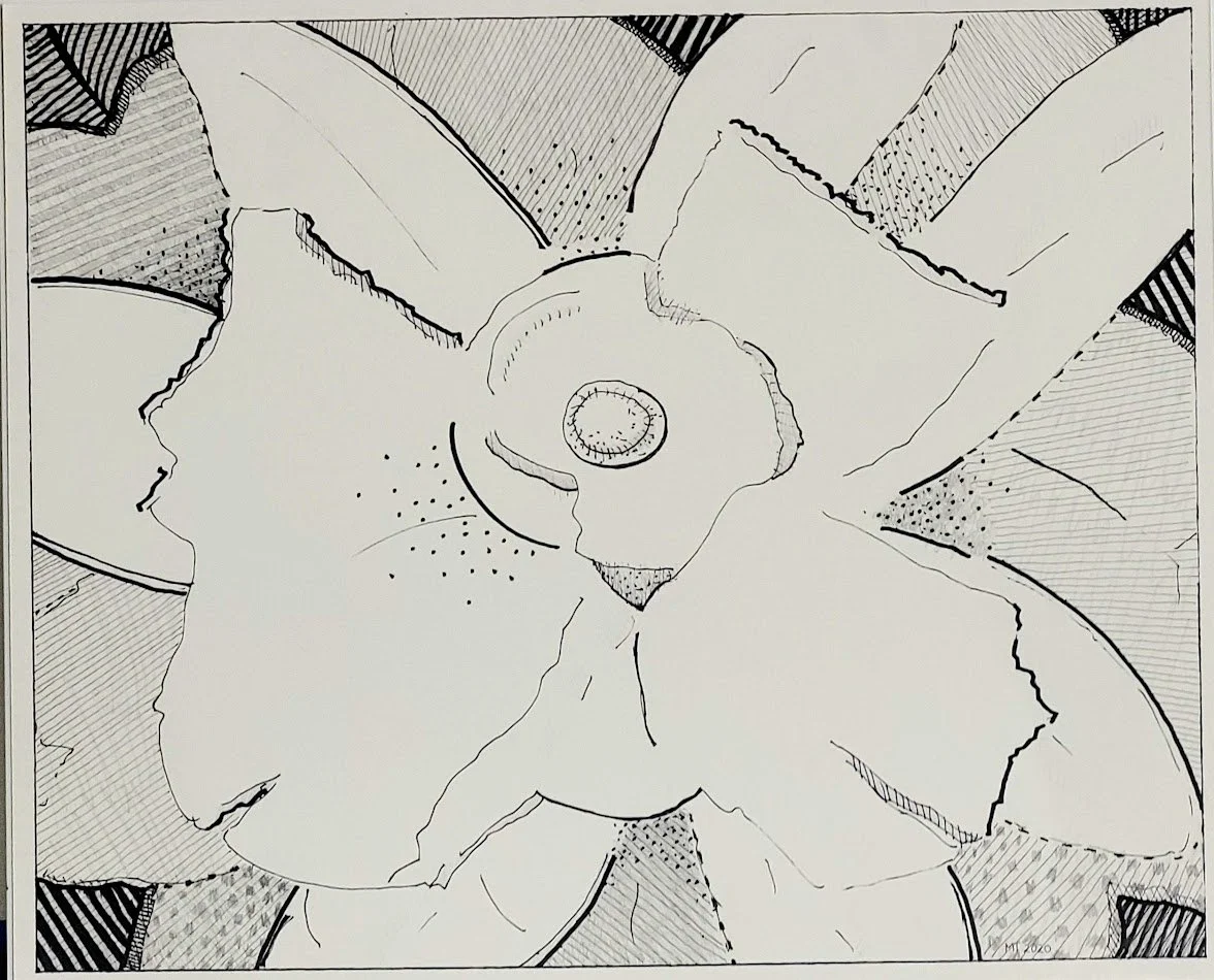 Ground Cover - ink & pencil on paper, 14" x 17"