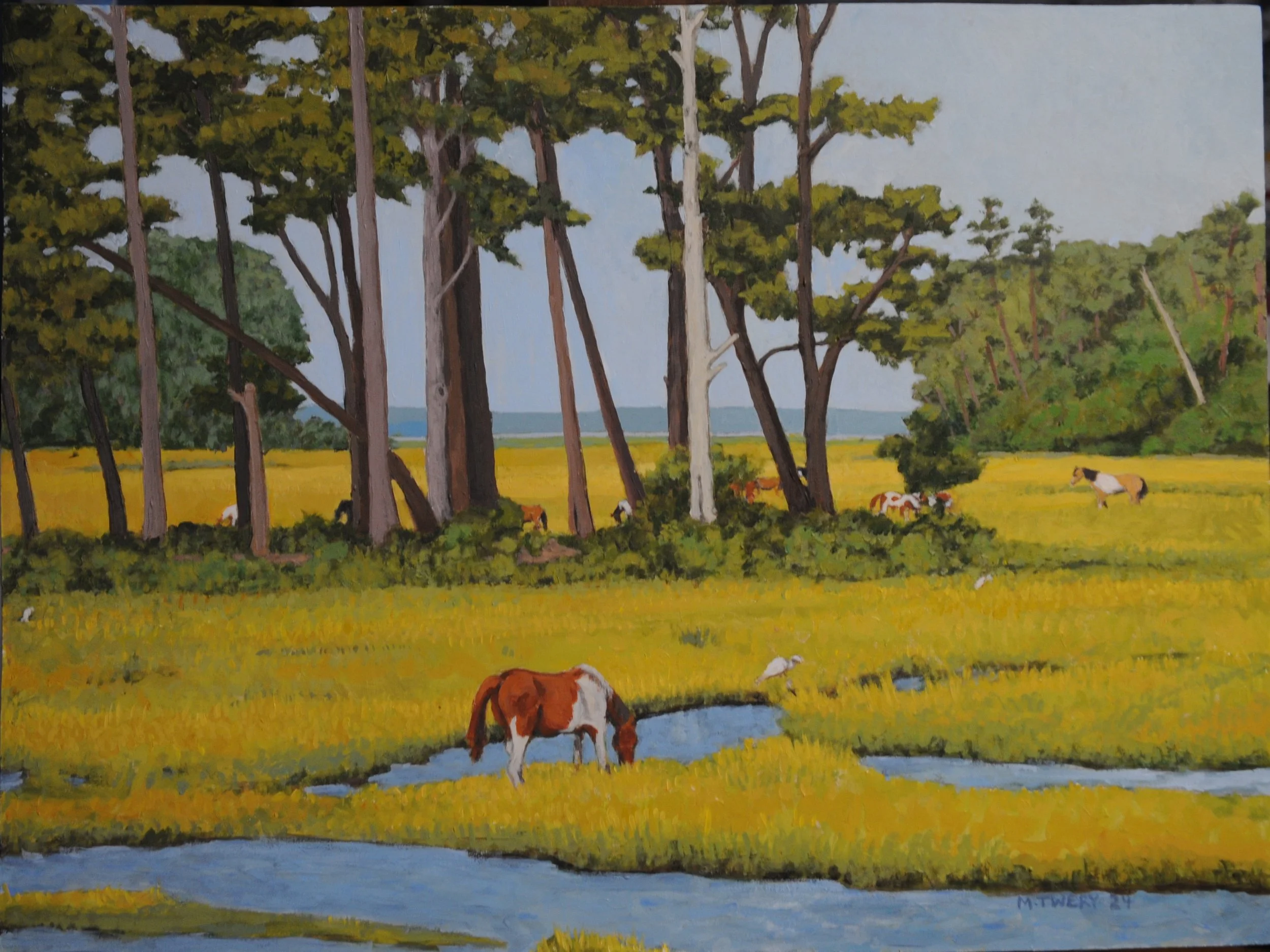 Chincoteague / Assateague Collection