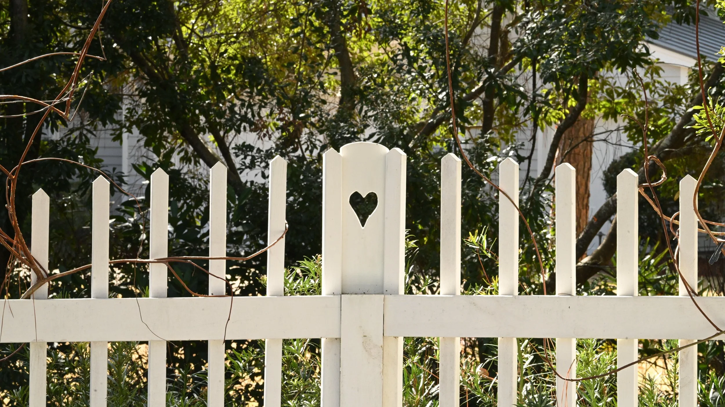 Featured in Mission Earth: Spring