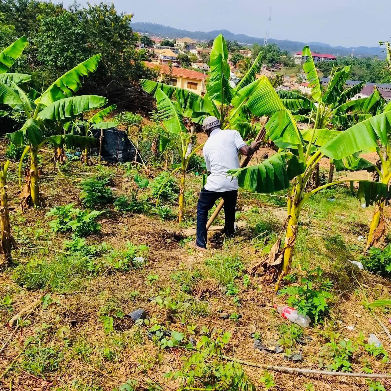 From Soil to Self Reliance