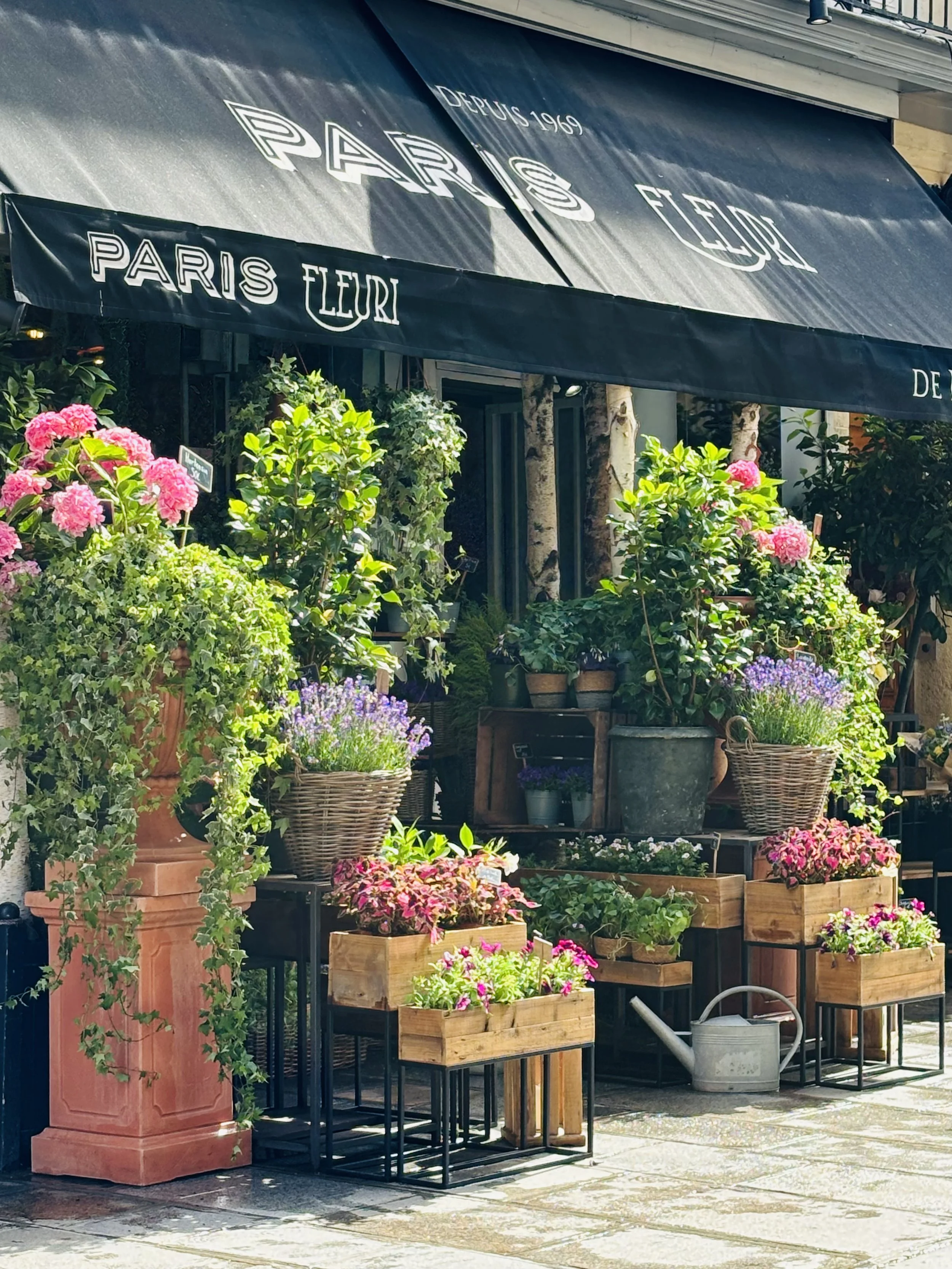 Behind the Name: Le Petit Jardin