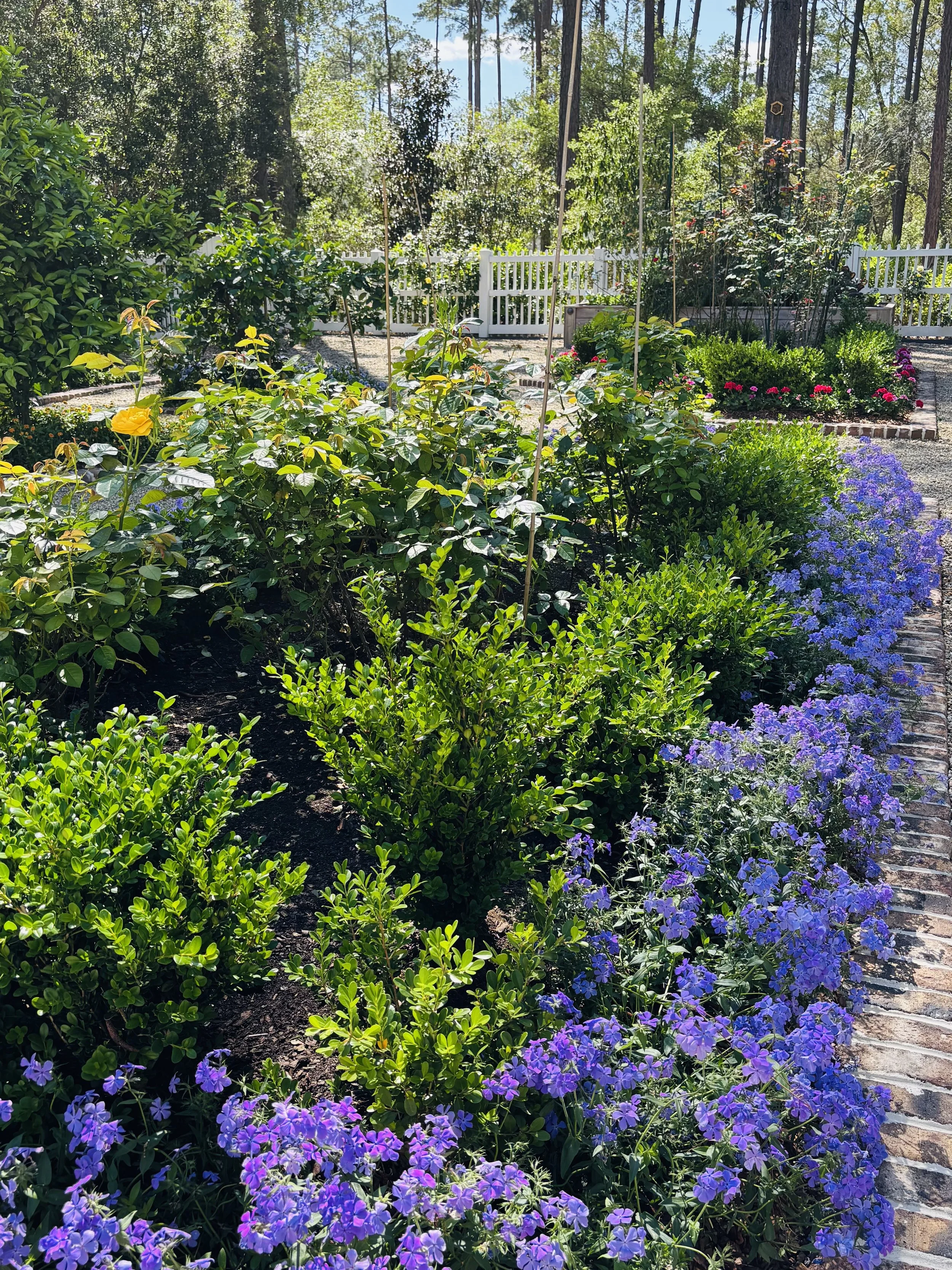 A Spring Gathering in the Garden 