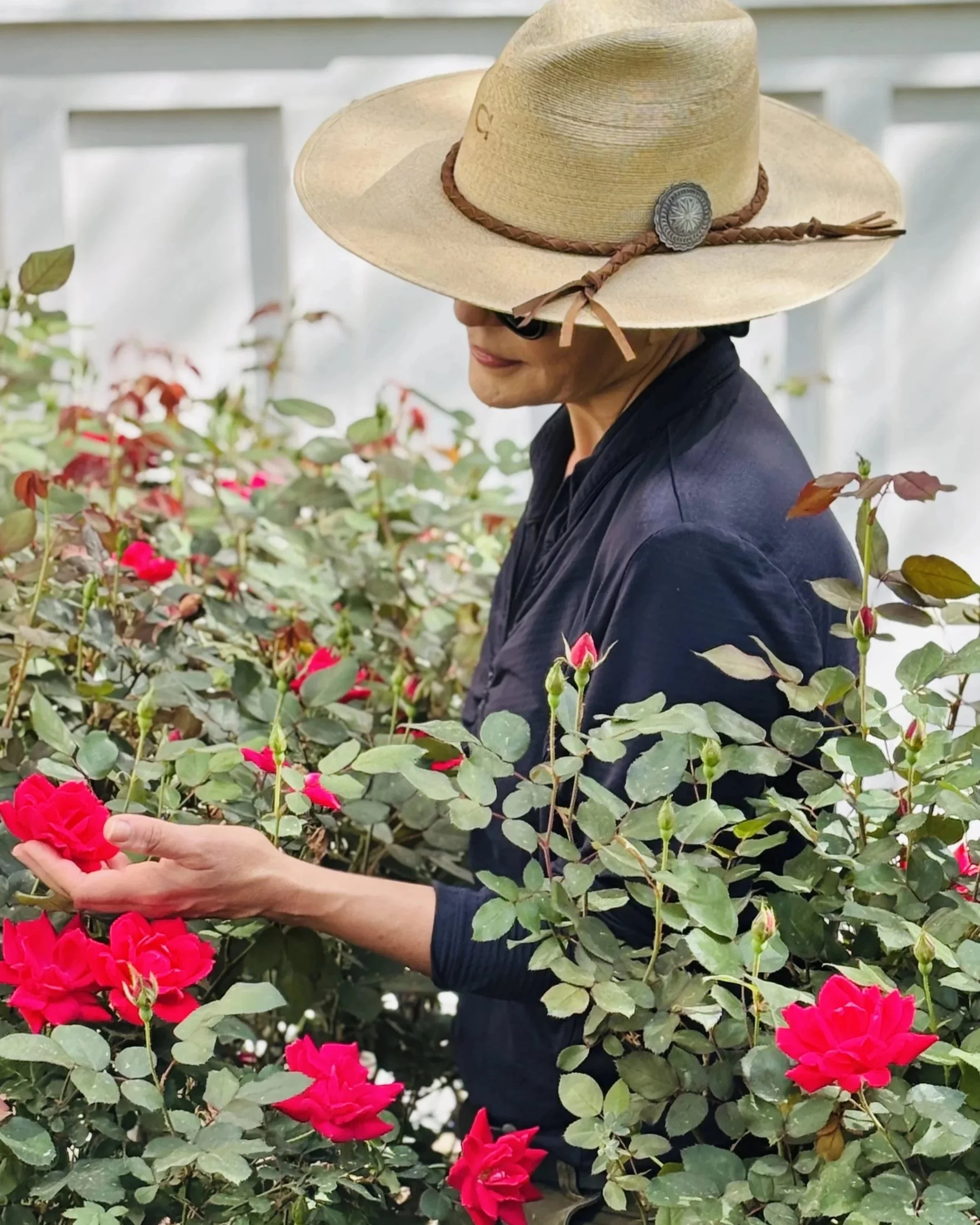 Wellness Isn’t Complicated ~ We Just Forgot the Recipe