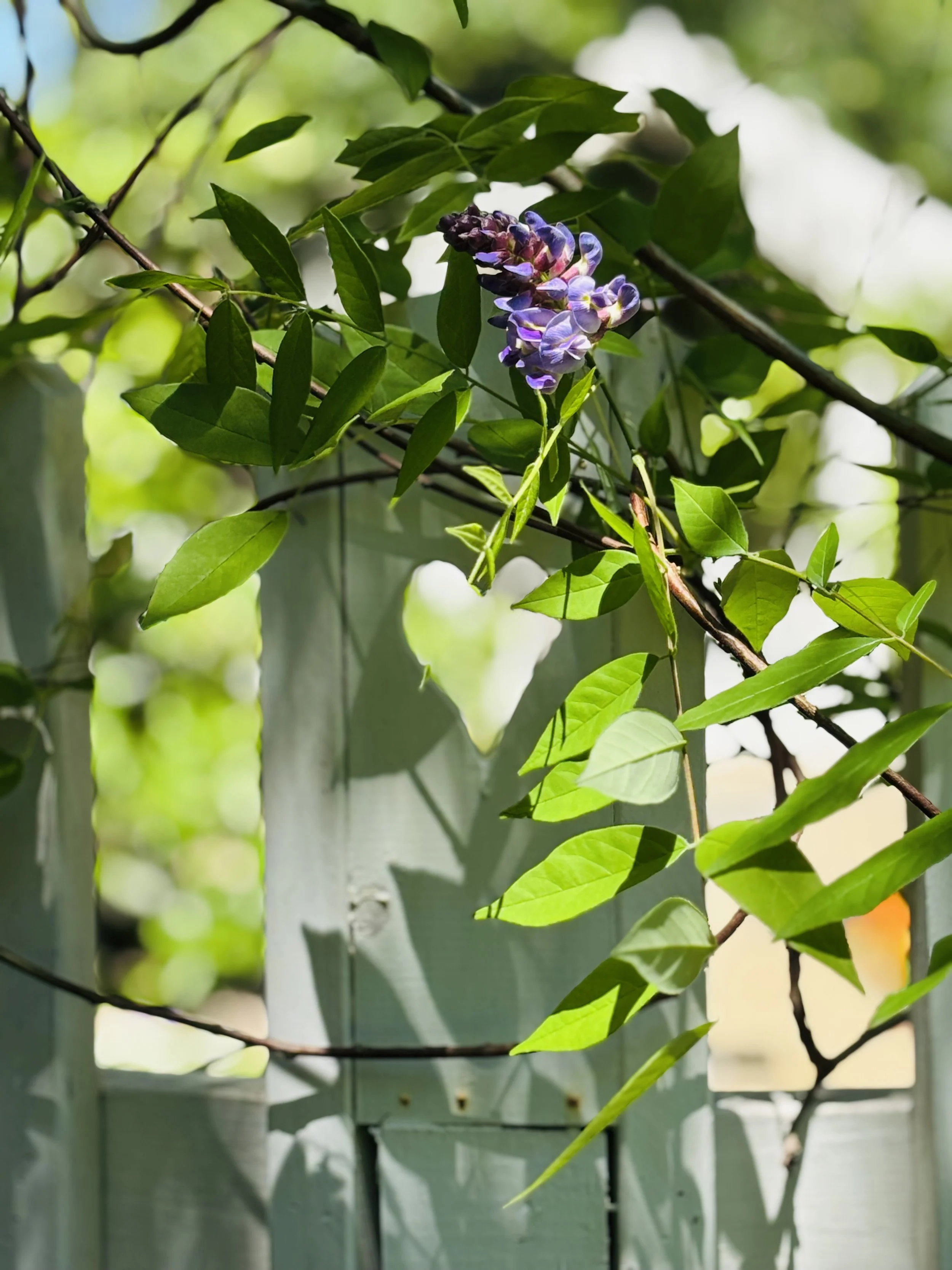 The Spring Collection: A Love Letter from the Garden 