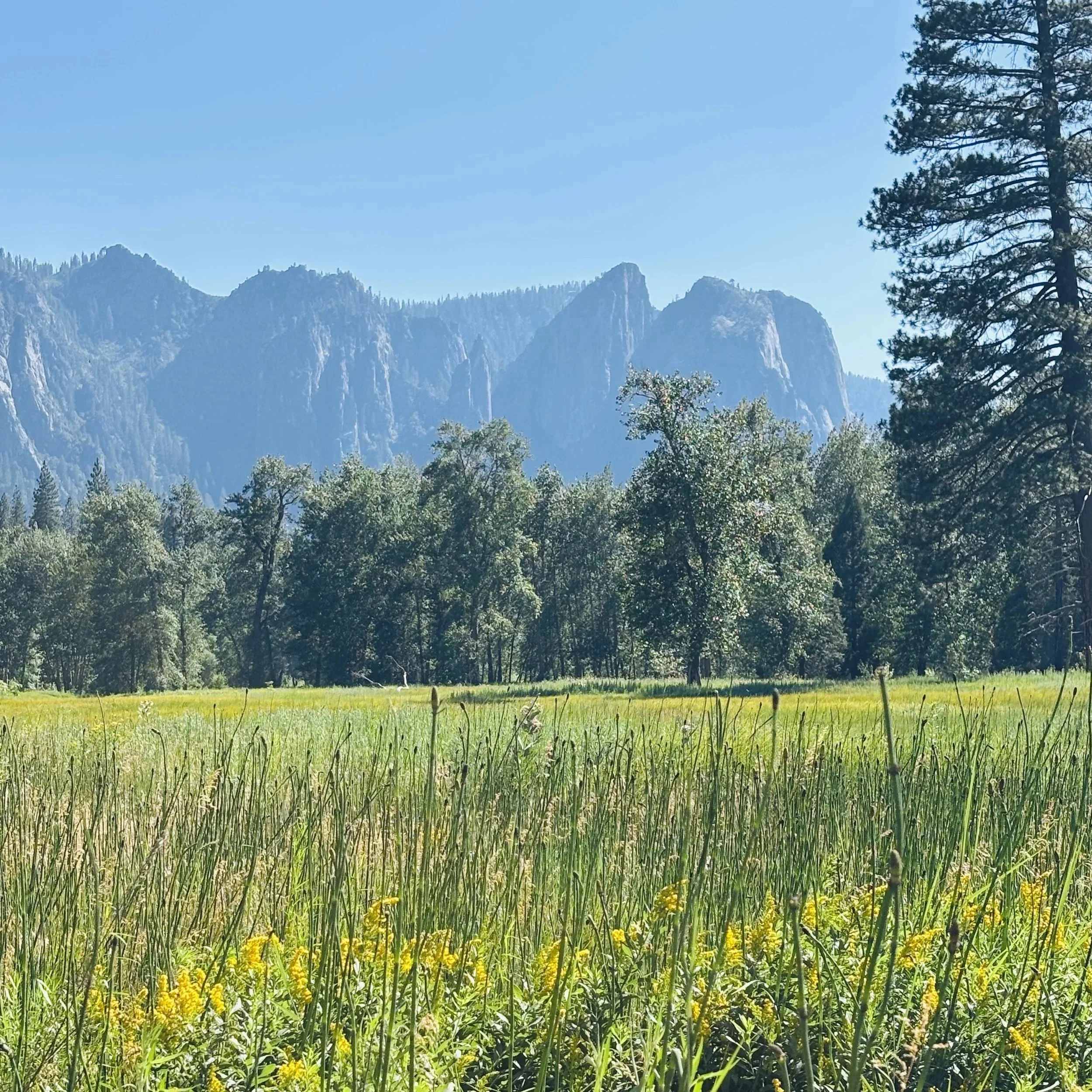 Wild Places, Wild Flavors: How America’s National Parks Inspire Le Petit Jardin 