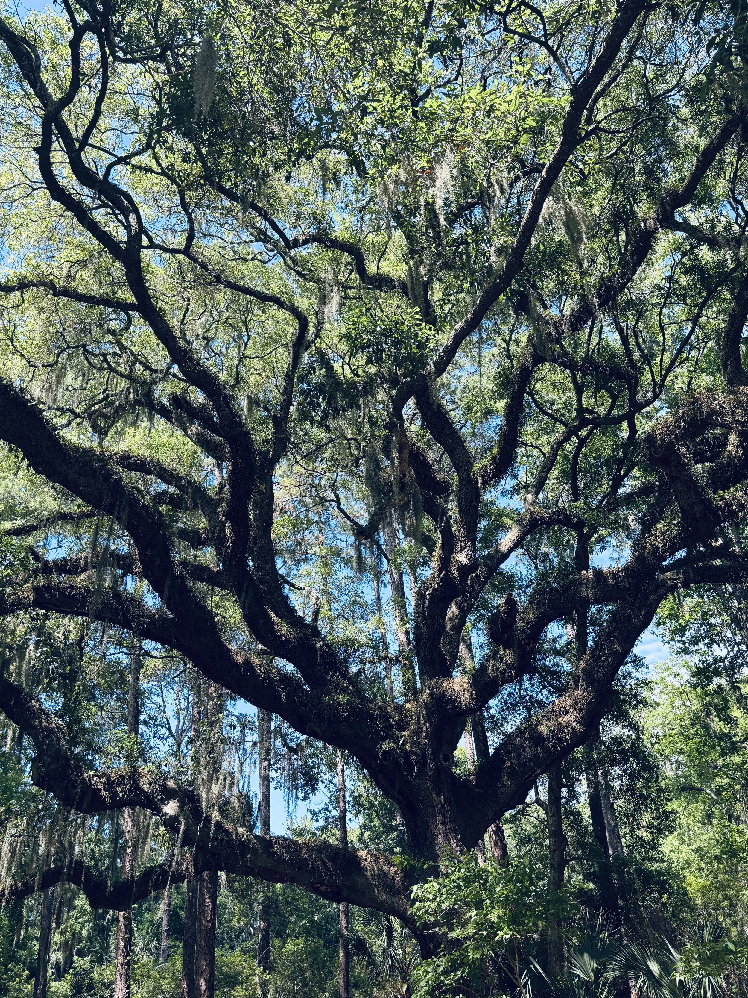 Where Purpose Takes Root: Finding Meaning, Fulfillment and Peace in the Wisdom of Nature