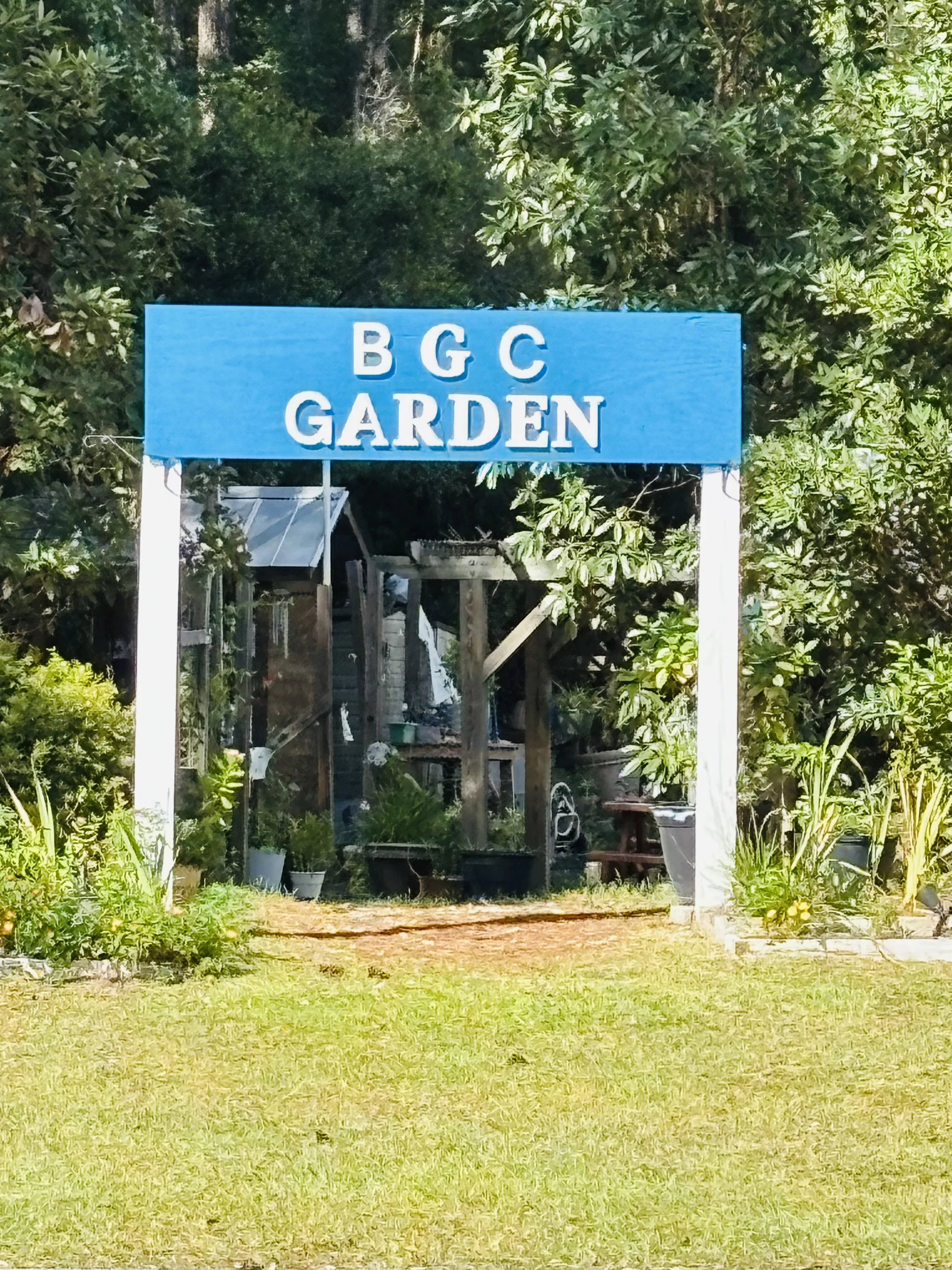 Seeds of Hope Donation ~ Boys & Girls Club of Bluffton Garden Renewal Project