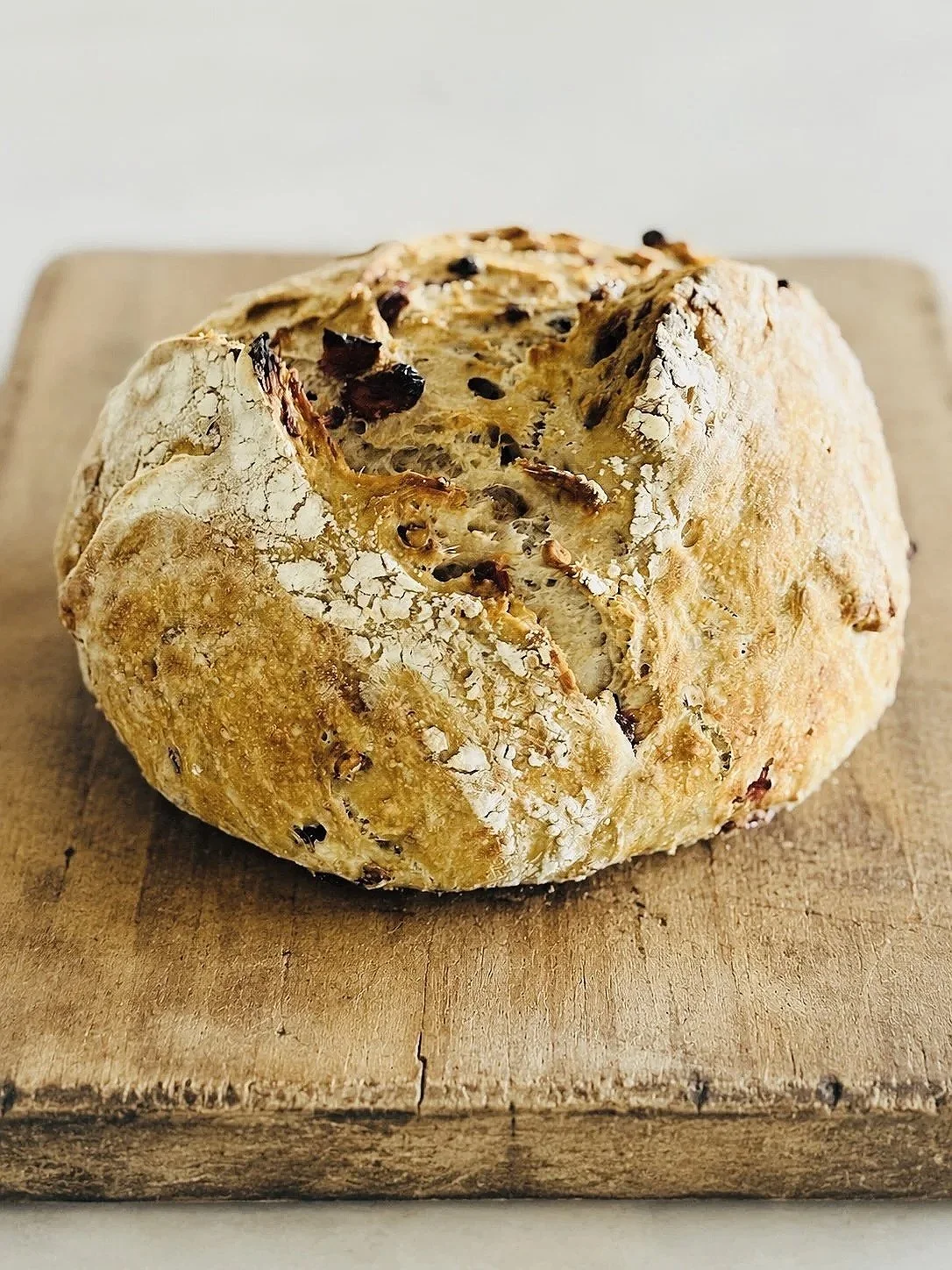 Artisan Cranberry Walnut Boule