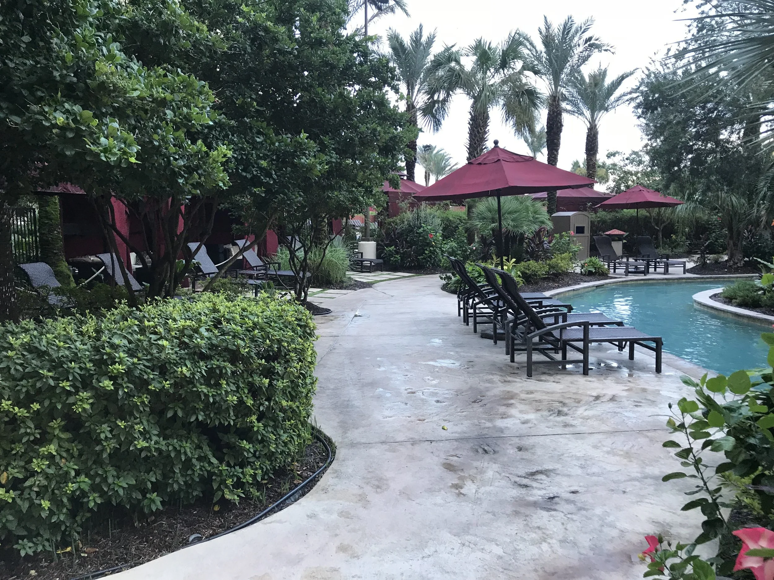 Empty swimming pool area with lounge chairs, red umbrellas, and lush green palm trees and plants bordering the poolside.