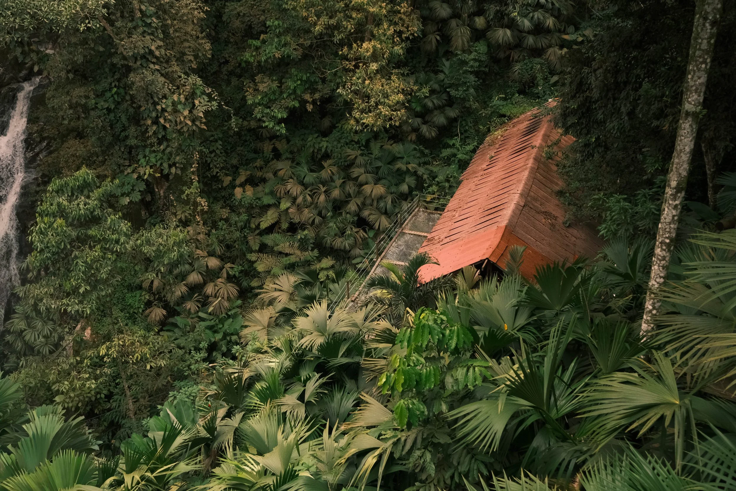 Jungle luxuriante de Minca – Sierra Nevada, Colombie