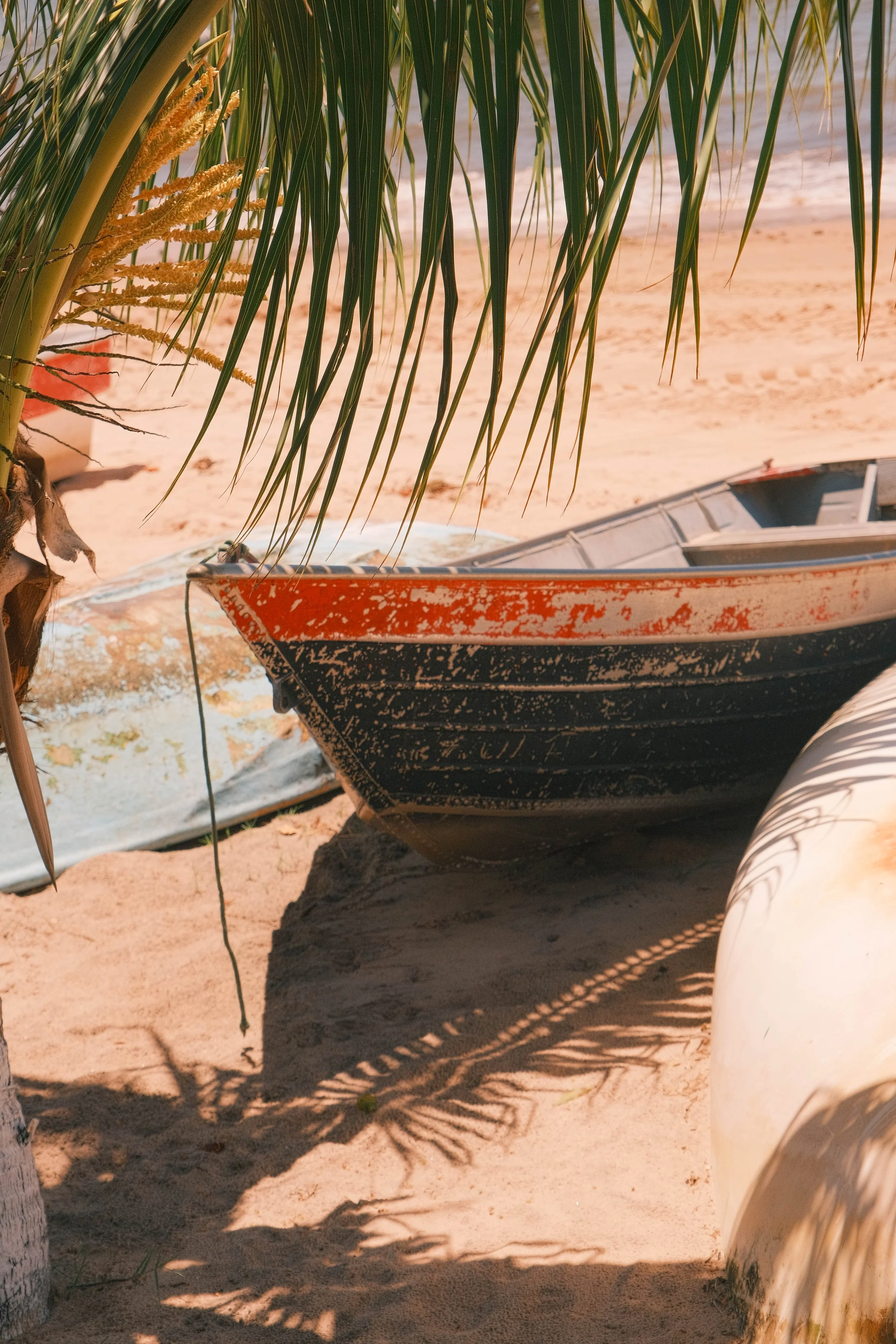 Vieille barque de pêcheur à l'ombre des palmiers – Plage d'Itacaré, Brésil